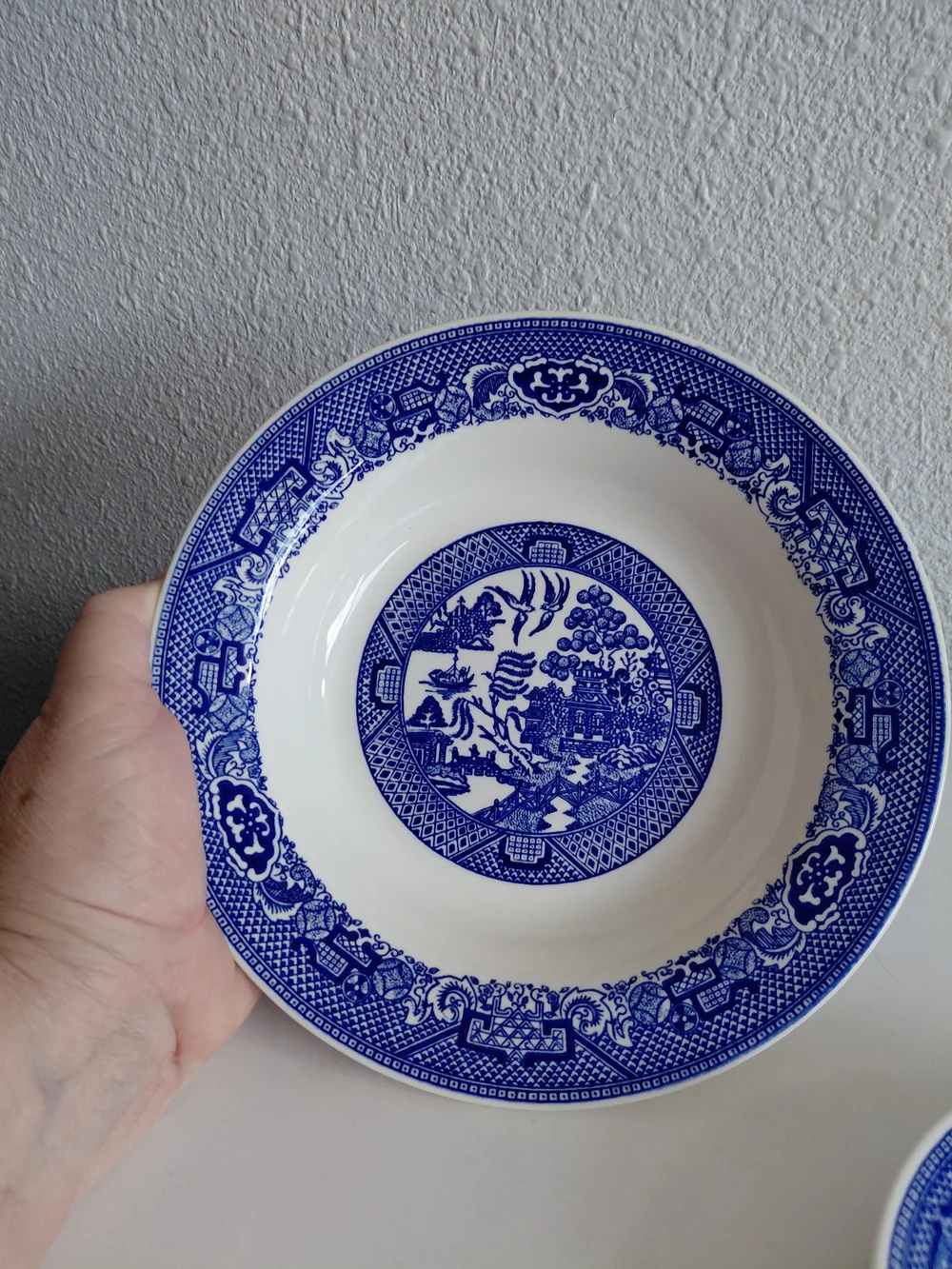 Vtg Willow Ware Royal China Royal Ironstone 2 Matched Dinner Plates